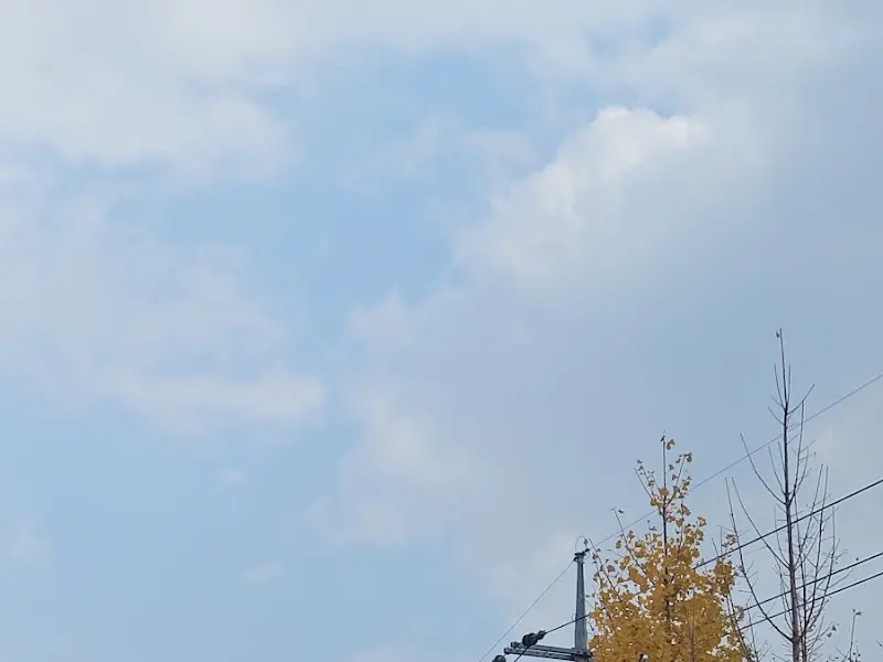 뭉게구름이 두둥실 떠다니는 하늘