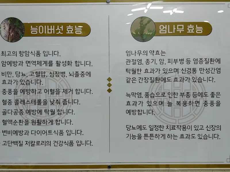 약재 효능 안내