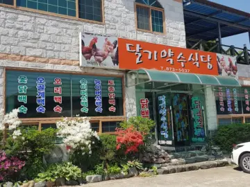 탄산 약수의 과학, 청송에서 맛보는 약수 닭백숙의 놀라운 효능과 맛집 기행