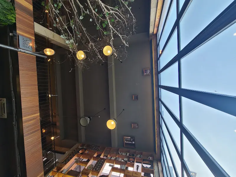 높은 천장과 통창