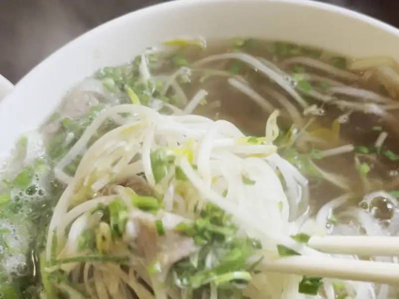 고기와 숙주가 어우러진 쌀국수