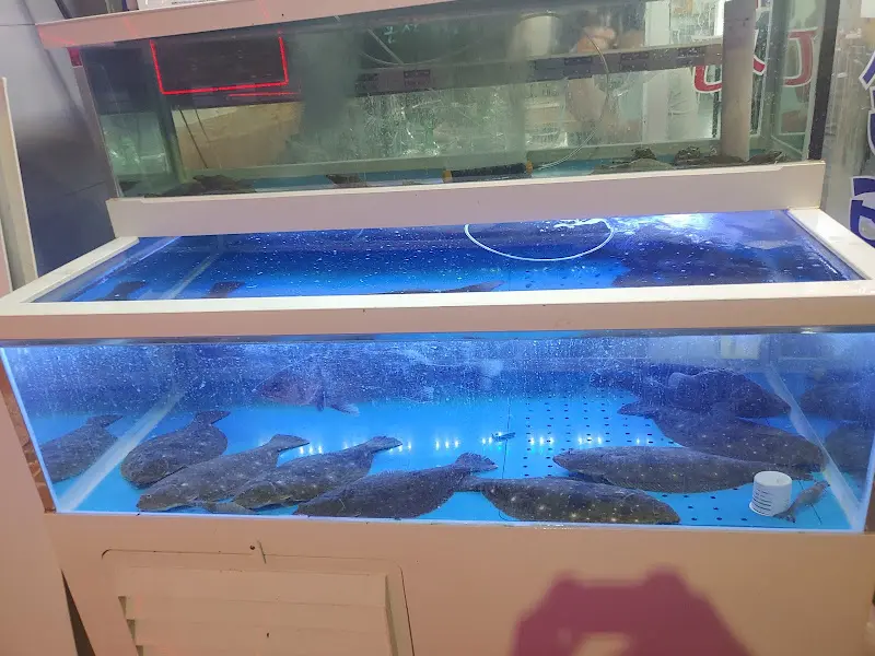 싱싱한 활어들이 가득한 수조