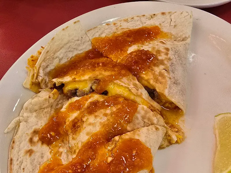 퀘사디아 근접샷