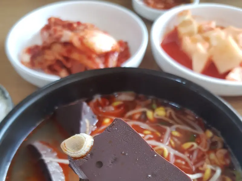 선지를 소스에 찍어 먹는 모습