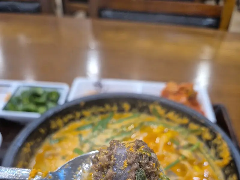 숟가락 위의 고기