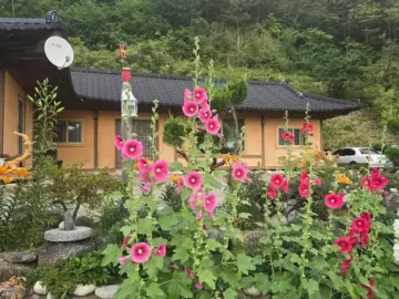 양양 숨은 보석 같은 밥집, 꼬꼬와메밀에서 만난 행복한 시골 백반 맛집