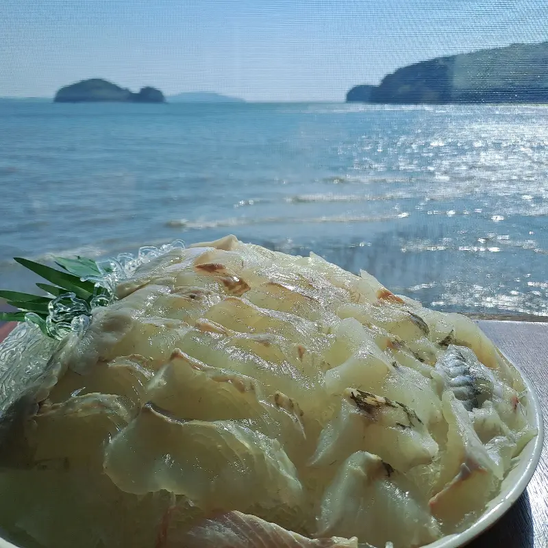 윤기가 좔좔 흐르는 광어+우럭 회