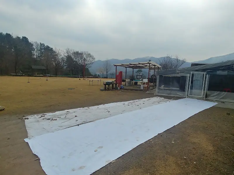 넓은 잔디 마당