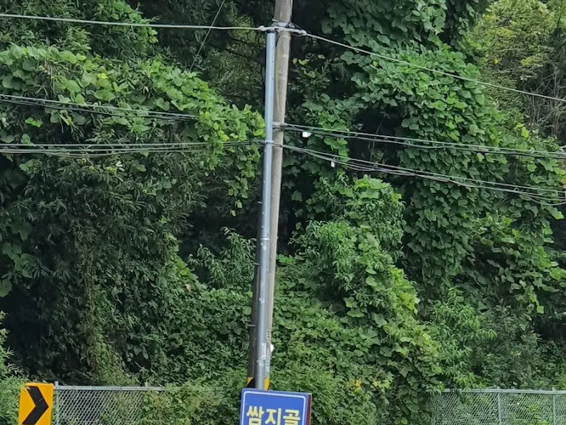 쌈지골 표지판