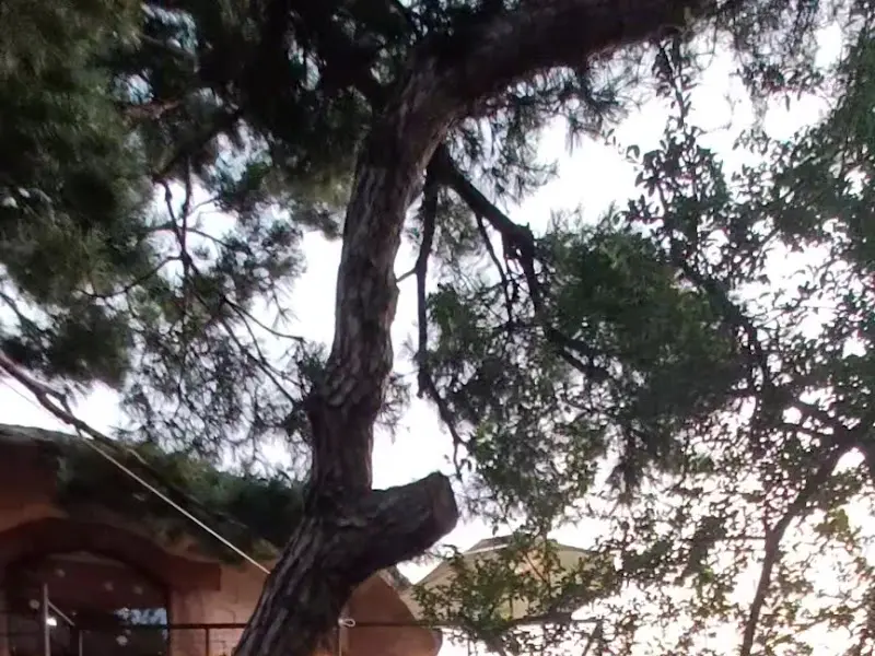 레스토랑 주변 풍경