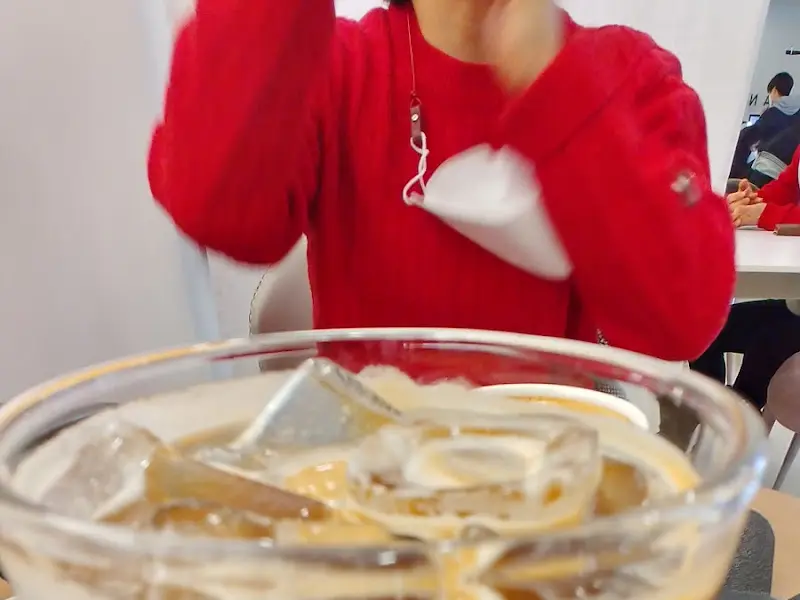 아이스 아인슈페너