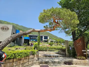 화개 벚꽃 아래 숨겨진 정원, 하동 ‘덕동골’에서 맛보는 풍경 맛집