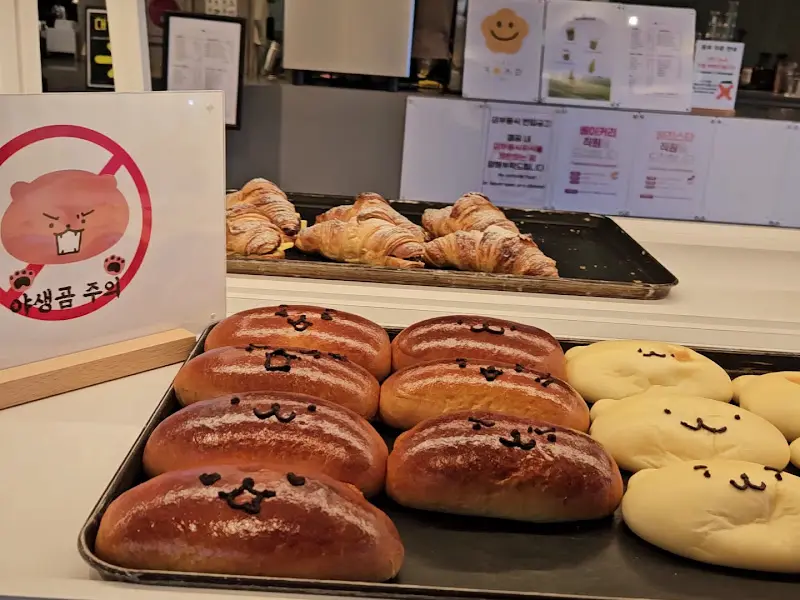 다양한 빵 종류