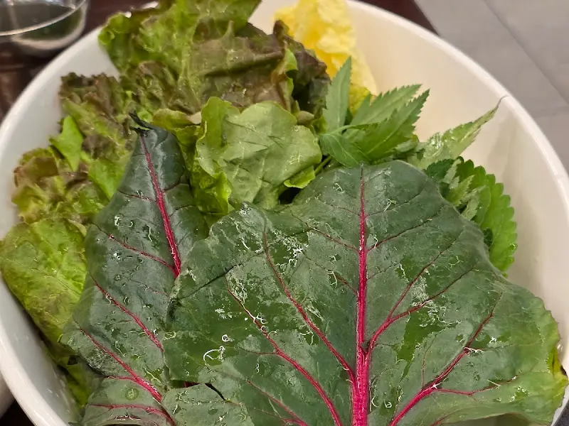 싱싱한 쌈 채소