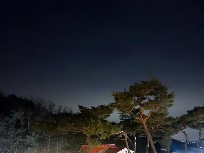 키스톤 스피시즈 야경