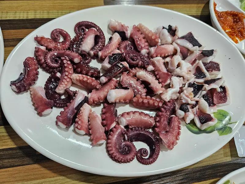 울진막회 문어숙회