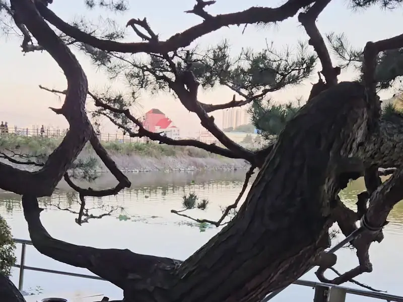 신정호반의 풍경