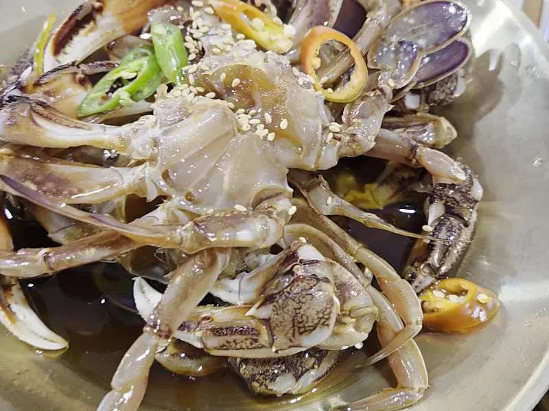 해선 제주 금게장