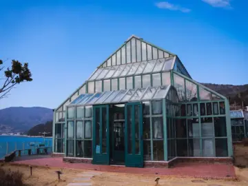 거제 속 숨겨진 정원, 외도에서 찾은 플랜테리어 카페의 향긋한 풍미 (지역명 맛집)