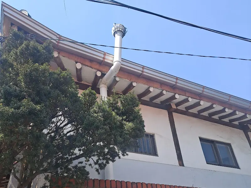 오프닝포트의 지붕