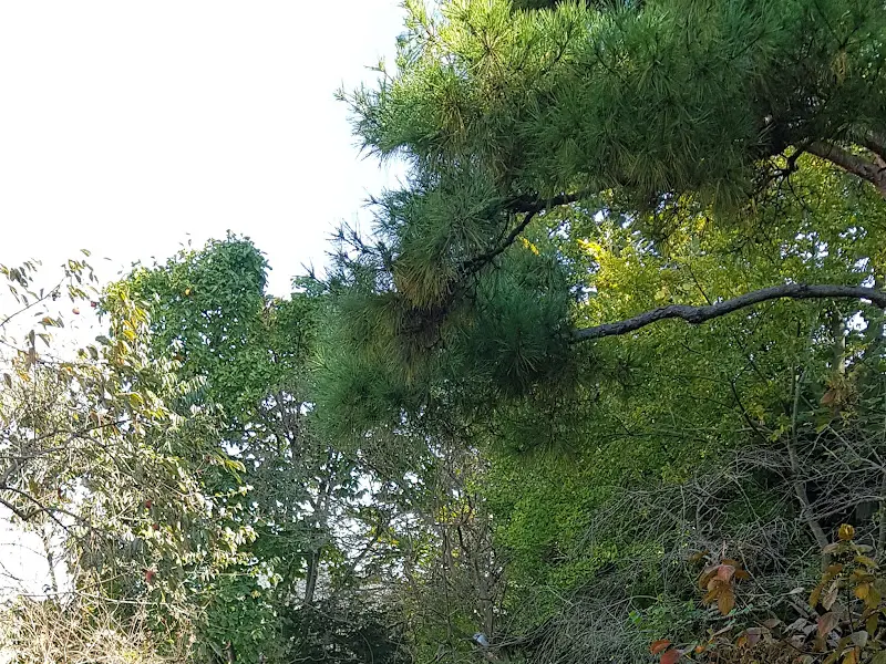 춘향골 내부 좌석