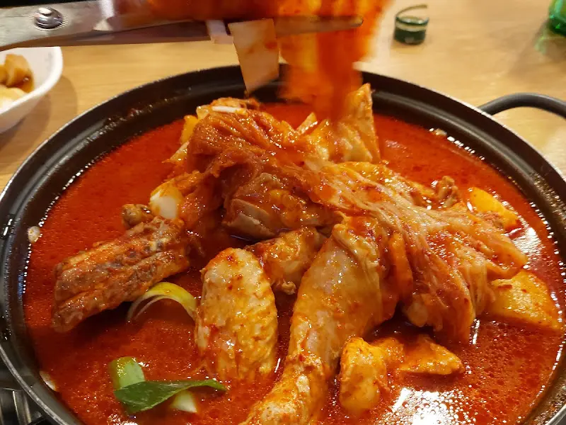 묵은지 닭볶음탕 자르는 모습