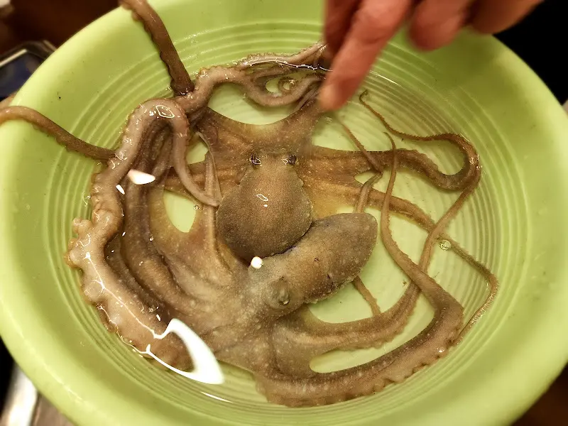 꿈틀거리는 낙지