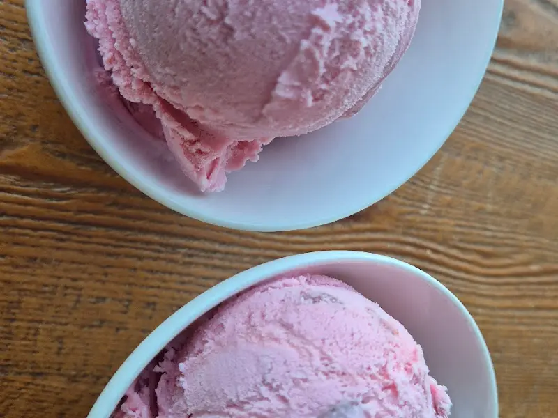 마린데크339의 젤라또 아이스크림