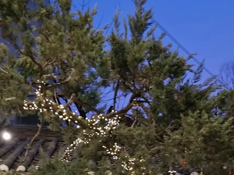 카페 외부 조명