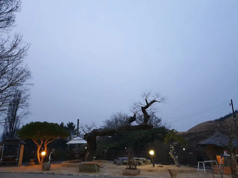 밤의 정원 풍경