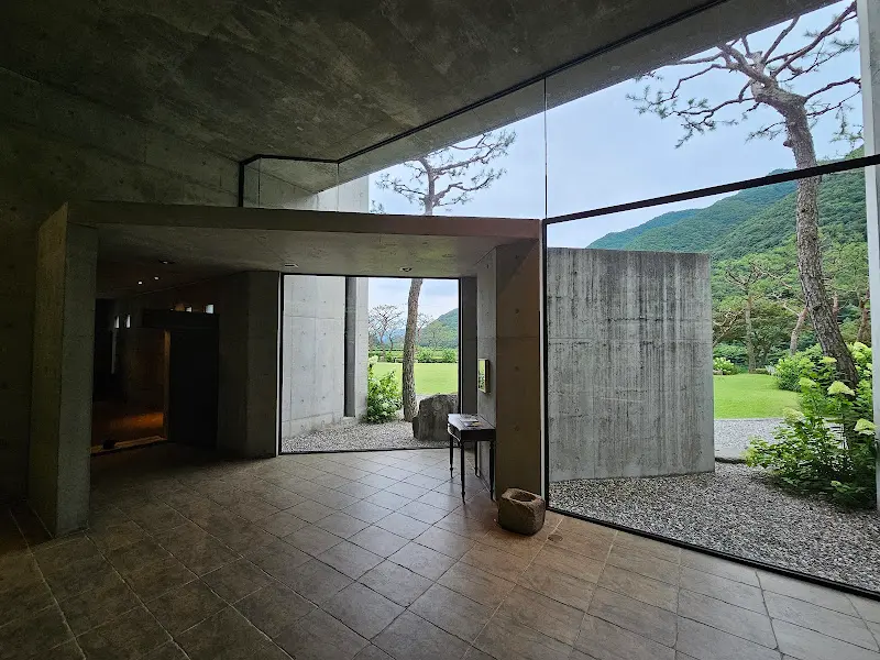 통창으로 보이는 푸르른 잔디와 나무