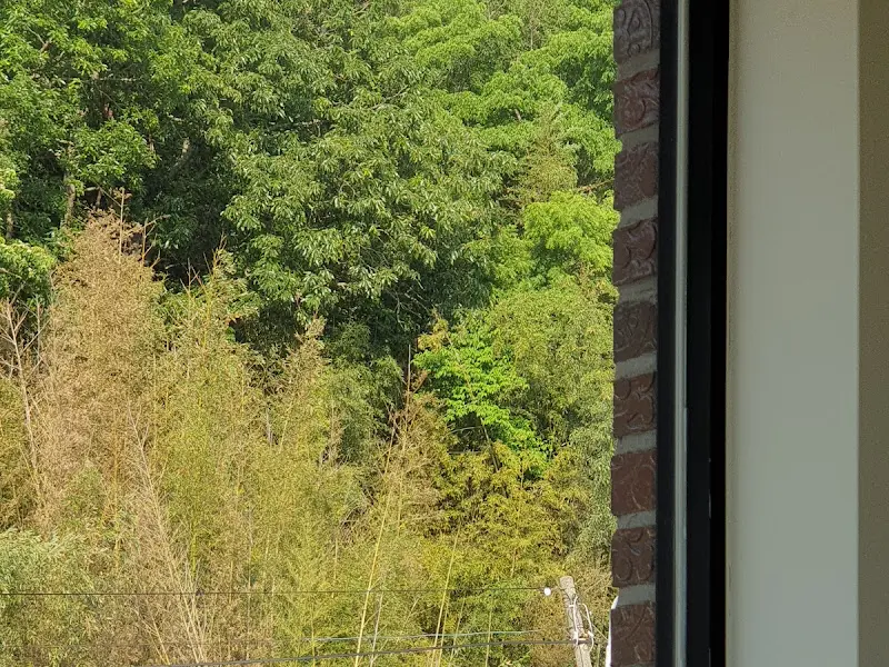 창밖으로 보이는 푸른 숲