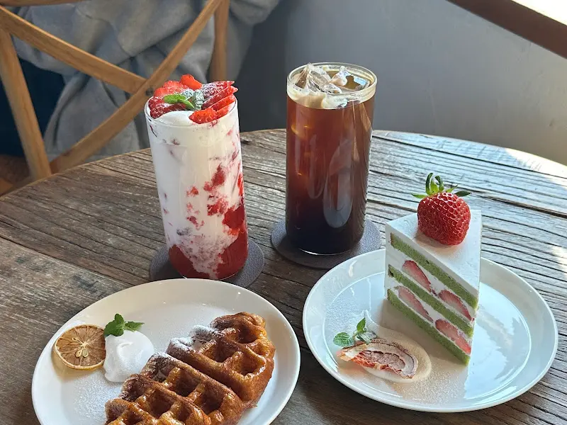 마요르카 카페 메뉴