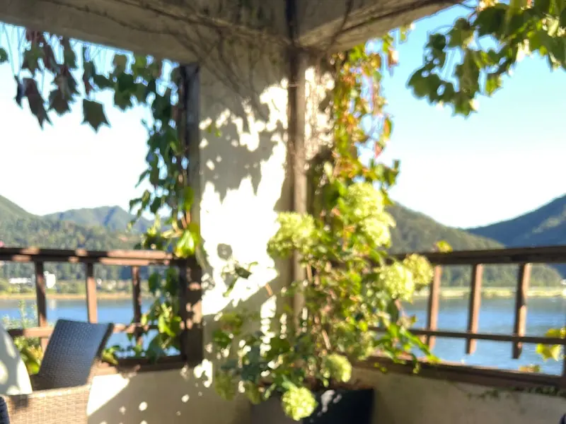 덩굴 식물이 드리워진 테라스 좌석