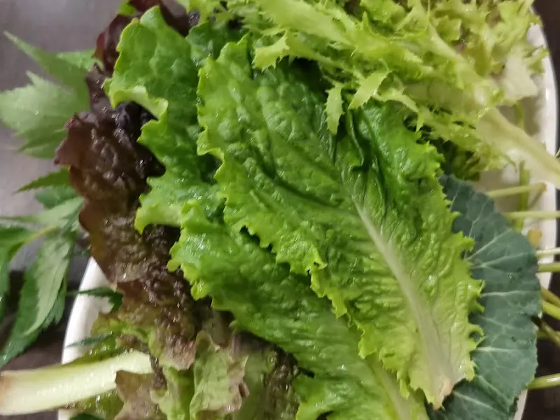 신선한 쌈 채소