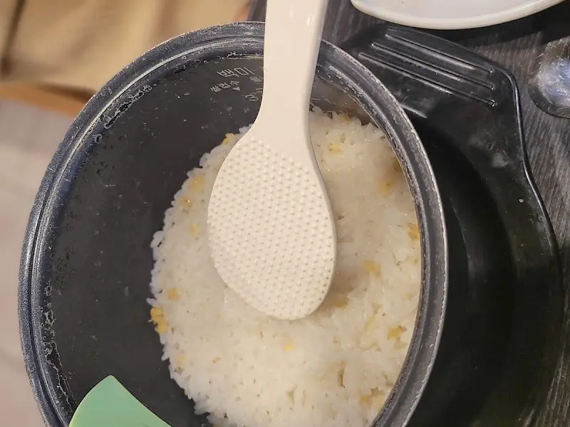 갓 지은 렌틸콩밥이 담긴 미니 밥솥