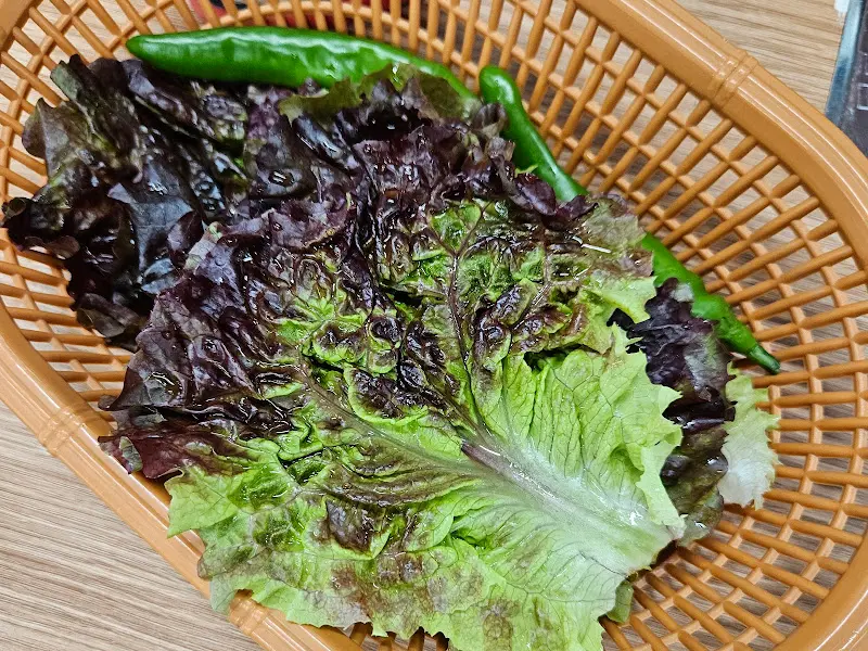신선한 쌈채소