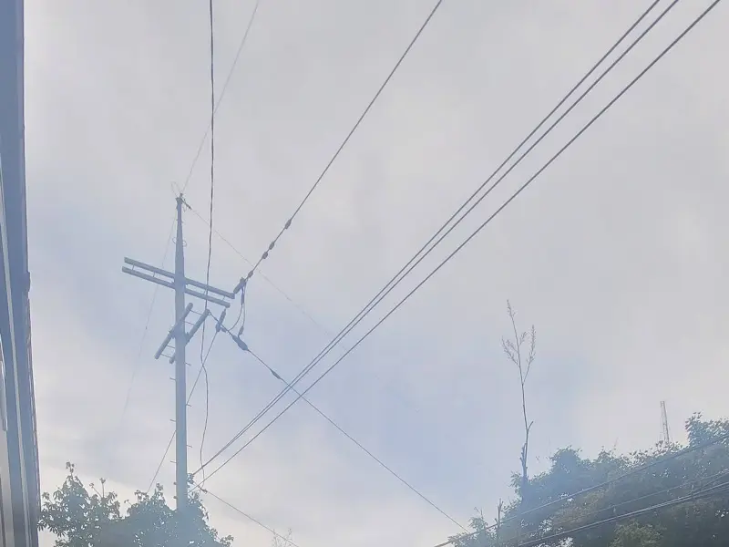 식당 주변 풍경