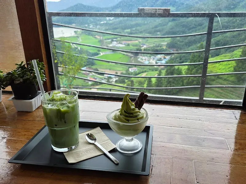 창밖으로 보이는 아름다운 녹차밭 뷰
