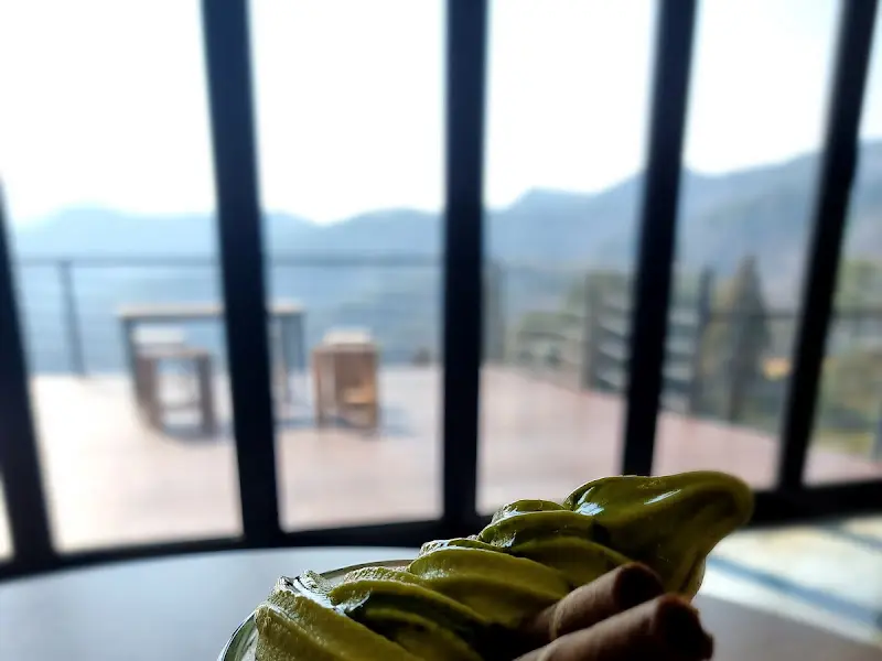 녹차 아이스크림과 녹차밭