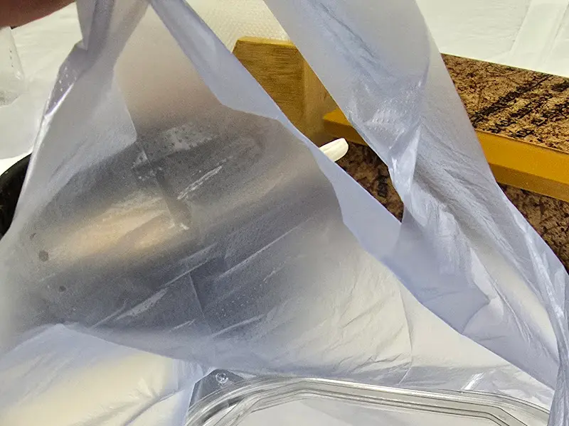 포장해온 곤드레밥