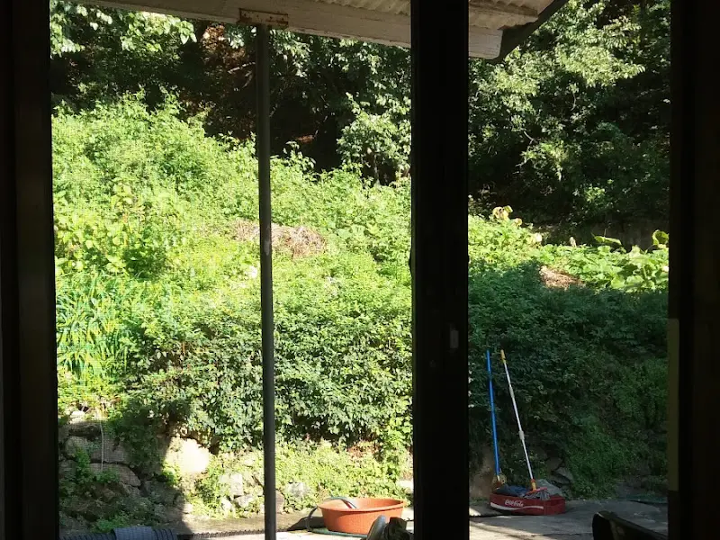 창밖으로 보이는 푸르른 풍경