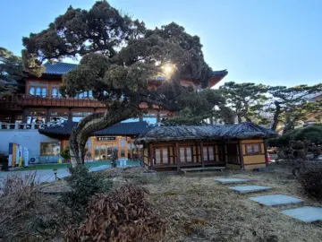 고향의 맛이 느껴지는 화성 혜경궁 베이커리, 보통리저수지 뷰 맛집 나들이