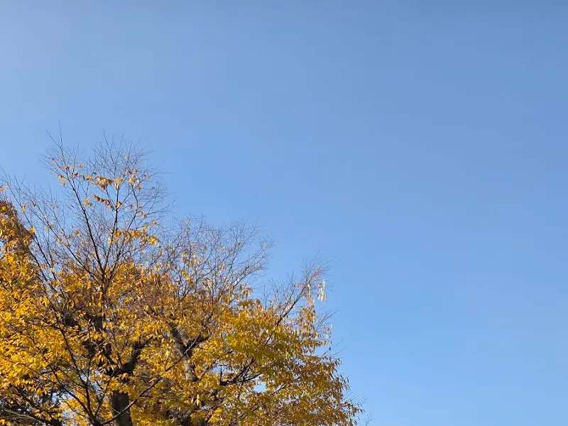 혜경궁 베이커리에서 바라본 하늘