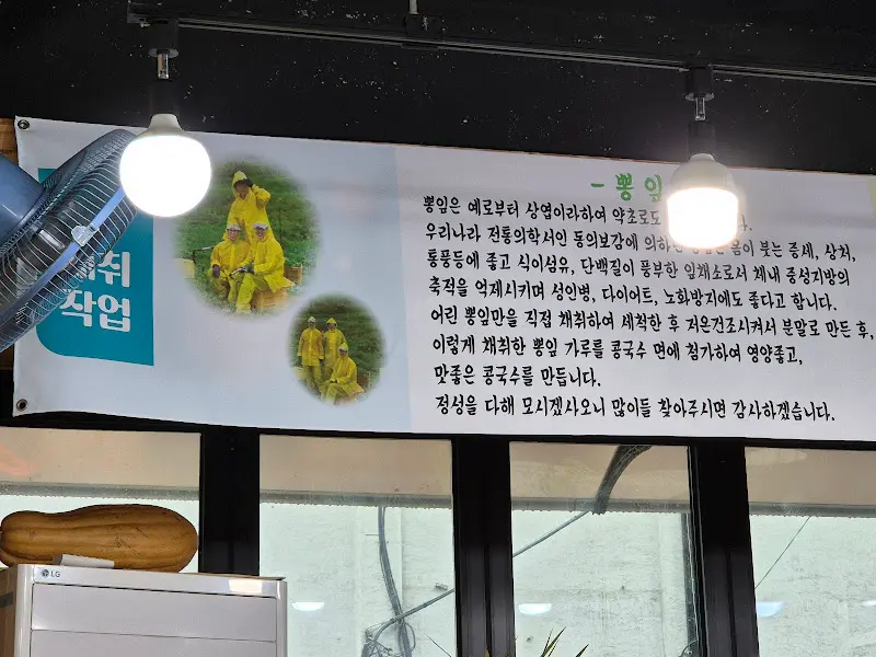 뽕잎 콩국수 설명