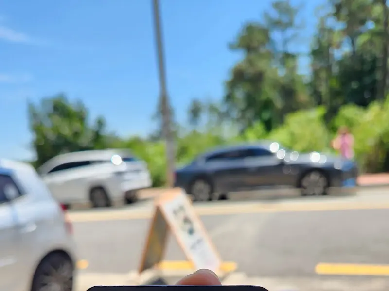 보리밥과 된장찌개