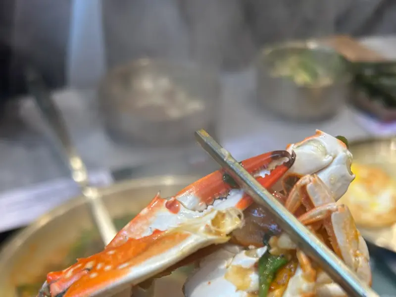 꽃게의 클로즈업 샷