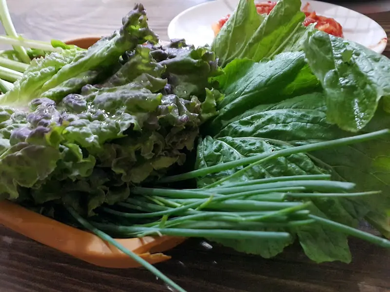 싱싱한 쌈 채소