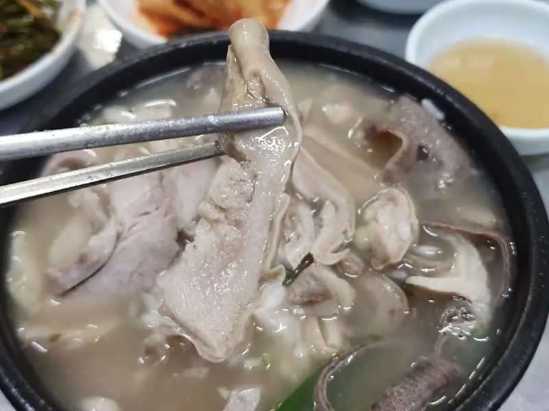 돼지국밥 속 고기