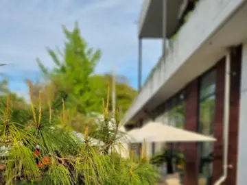 노을빛 감칠맛, 영월 산너머남촌회관에서 맛보는 과학적인 베이커리 맛집 탐험기